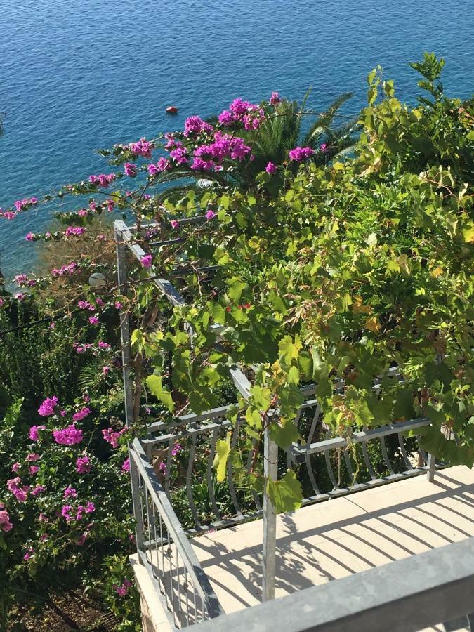 Beach Penthouse Diamond 오미스 외부 사진
